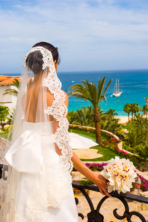 Fiestas Los Cabos By Tara Null