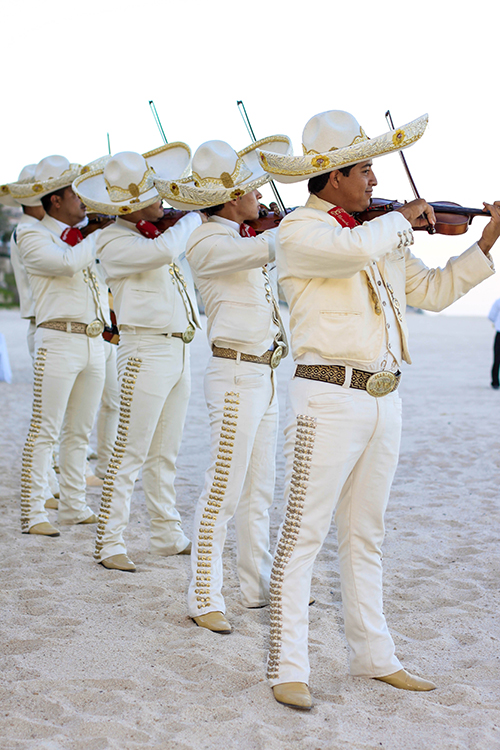 Fiestas Los Cabos By Tara Null